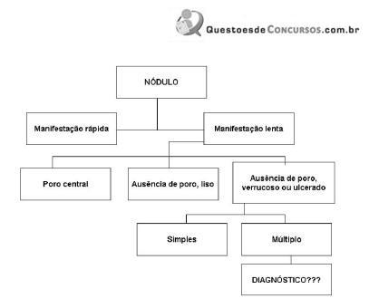 Imagem 002.jpg