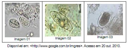 Imagem 016.jpg