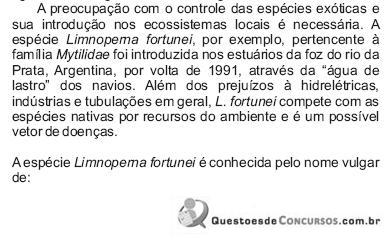 Imagem 011.jpg