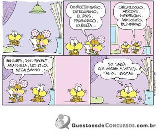 Imagem 025.jpg