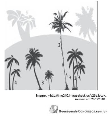 Imagem 010.jpg