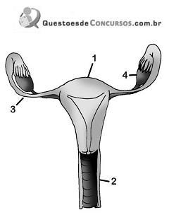 imagem-014.jpg