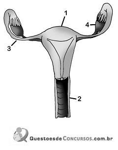 imagem-013.jpg