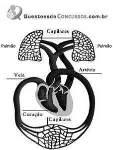 imagem-010.jpg
