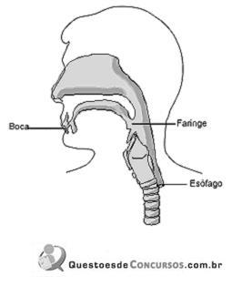 imagem-009.jpg