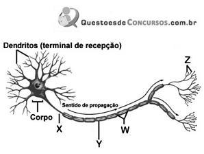 imagem-008.jpg