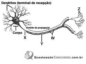 imagem-007.jpg