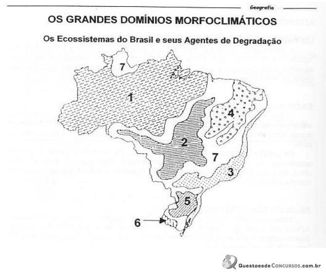 Imagem 001.jpg