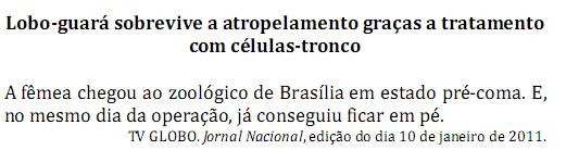 Imagem 010.jpg
