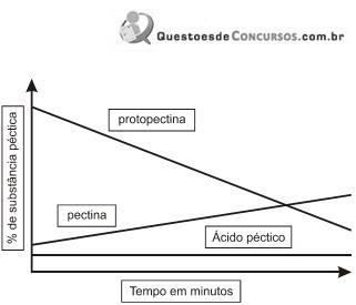 imagem-005.jpg