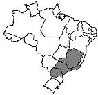 imagem-010.jpg