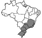 imagem-011.jpg