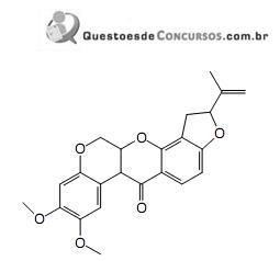 imagem-005.jpg