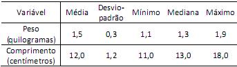 imagem-015.jpg