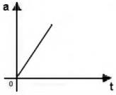 imagem-006.jpg