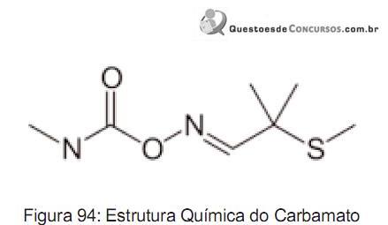 imagem-069.jpg