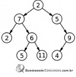 imagem-003.jpg