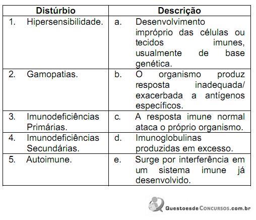imagem-009.jpg