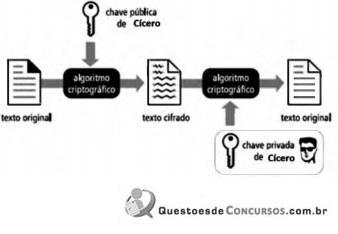 imagem-014.jpg
