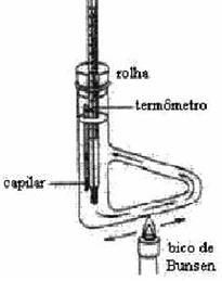 imagem-012.jpg