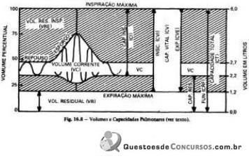 imagem-004.jpg