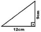 imagem-003.jpg