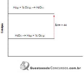 imagem-019.jpg