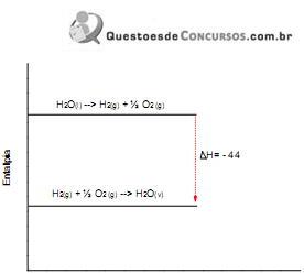 imagem-020.jpg