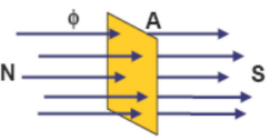 Q43.png 242×126