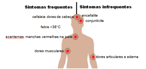 51.png 485×230
