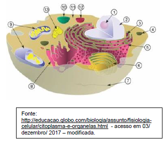 Imagem da questão