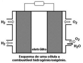 31.png 335×256
