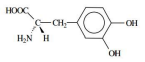 29_e .png 145×62