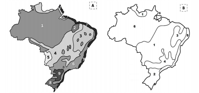 ca2b101a385aecc19019.png 669×312