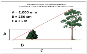 Imagem associada para resolução da questão