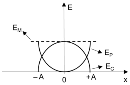 20.png 443×289