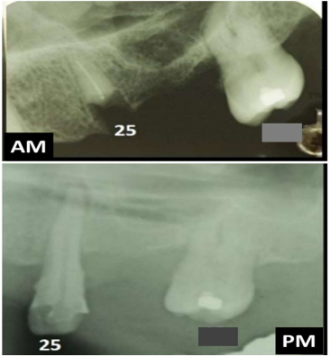 88.png 367×396