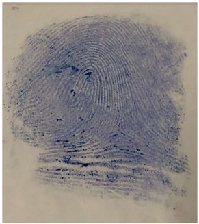 85.png 291×327