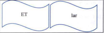 8_E.png 343×111