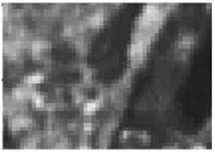 36.png 310×220