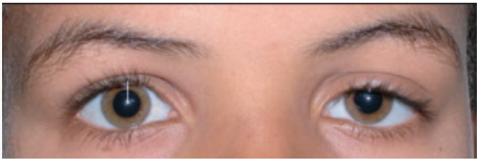 49.png 692×231
