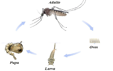 Captura_de tela 2025-08-31 192804.png 394×247
