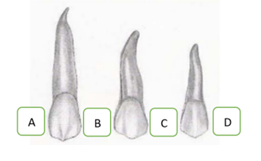 Q24.png 261×161