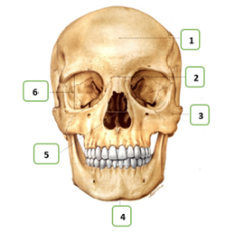 Q16.png 260×257