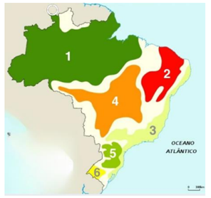 Q35.png 296×278