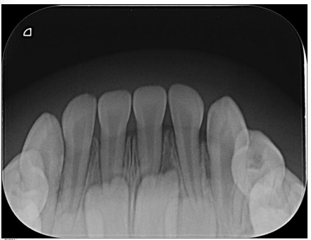 Captura_de tela 2025-09-03 133819.png 444×342