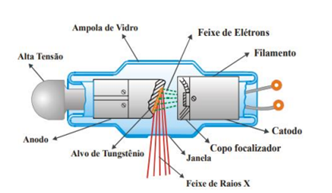 Q50.png 332×193