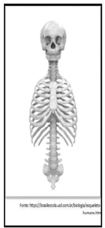 Q5.png 209×450