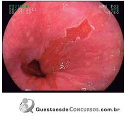 Imagem 017.jpg