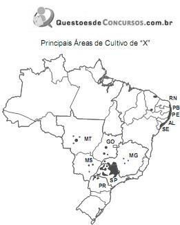 imagem-016.jpg